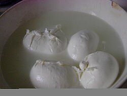Mozzarella Mozzarella - Моццарелла