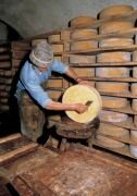 Производство сыра Багосс Производство сыра Багосс
