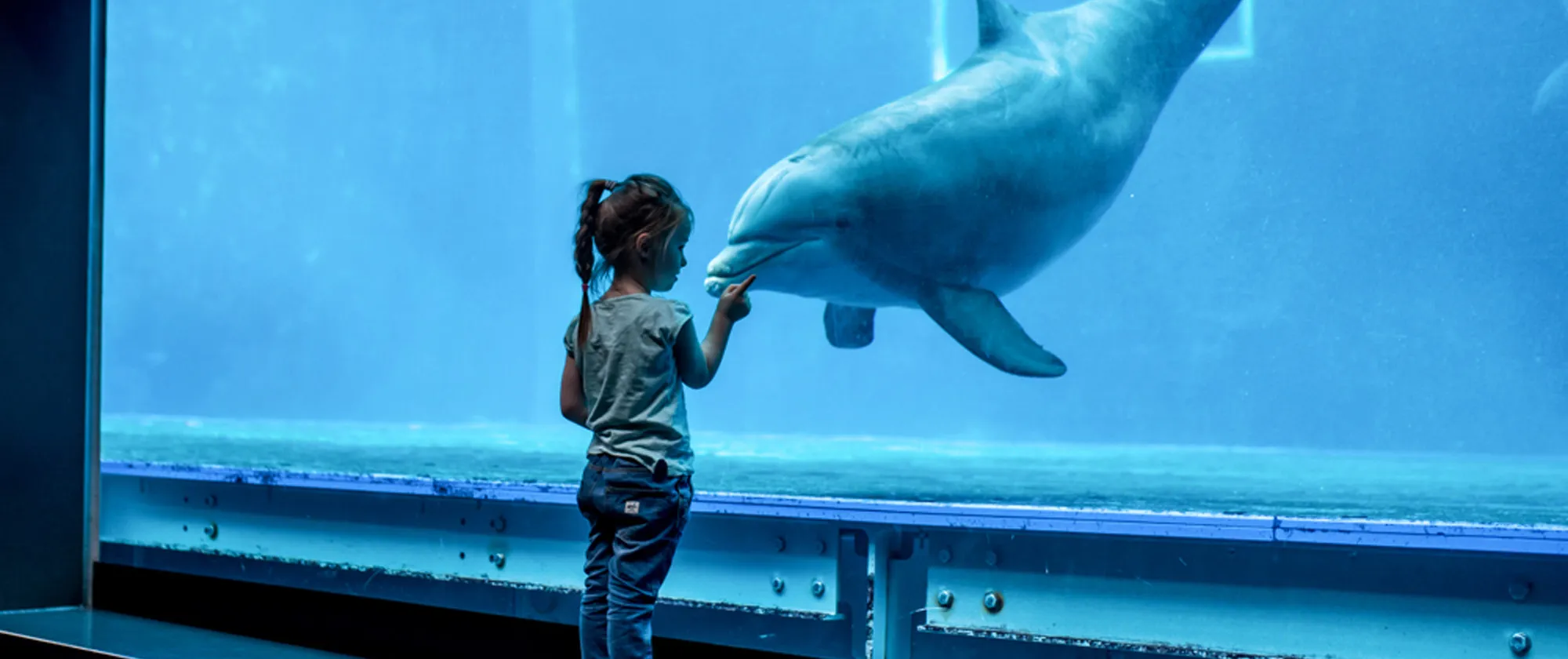 Acquario di Genova