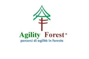 Agility Forest