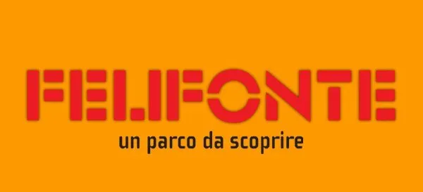 Felifonte