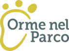 Orme nel parco