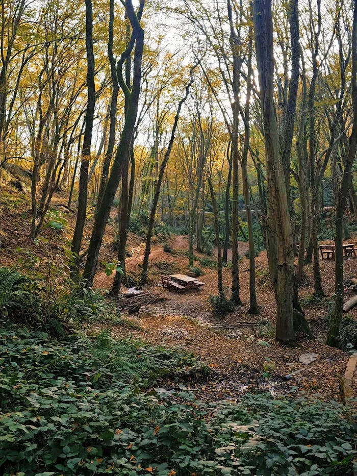Parco Avventura Esploraria
